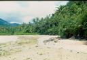 Dense jungle surrounds the beach.